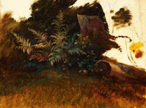 Mountain vegetation, 1860-1890.