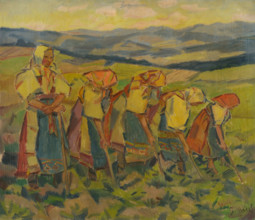 Women in the fields, 1936-1938.