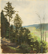 Hill with scrub, 1850-1900.