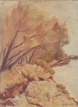 Trenches by the Danube, 1920-1939.