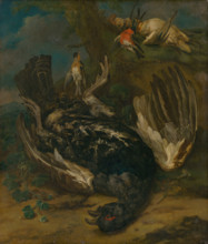 Still life with a capercaillie, 1720-1730.
