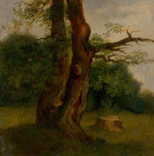 Study of a tree in leaf, 1860-1870.