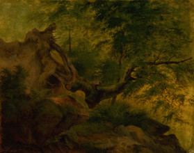 Uprooted tree, 1860-1870.