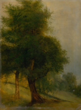 Trees on a slope, 1870-1880.