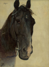 Head study of a black horse, 1890-1900.