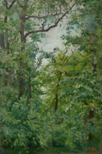 From the Park, 1900-1920.