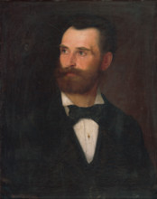 Portrait of a Man with Brown Beard, around 1880.