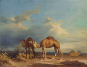 Camels in a southern landscape, 1835-1850.