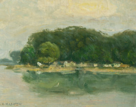 Petrzalka Bank from the Danube, 1900-1910.