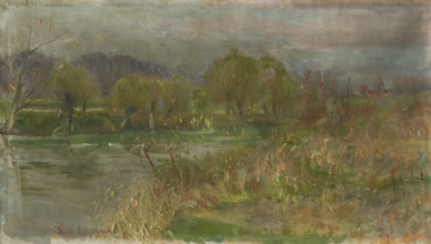 Landscape with swamp, c1900.
