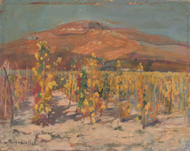 Vineyards at the foot of Mount Zobor, 1930-1940.