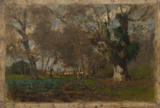 Oak Trees near an Arm of the Váh, 1880-1885.