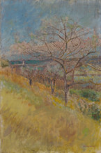 Valley with Trees in Bloom, 1890 - 1900.