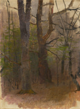 Early Spring. Forest, 1876 - 1877.
