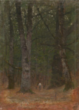Man in the Woods, 1890-1900.