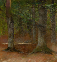 Study of Forest, 1890-1900.