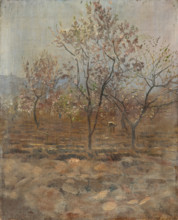 Trees in Blossom, 1890-1895.