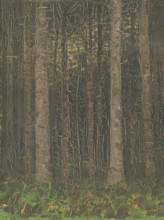Forest Interior, 1880-1885.