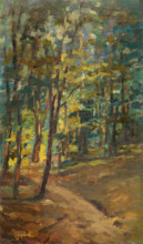 Forest interior, 1895-1905.