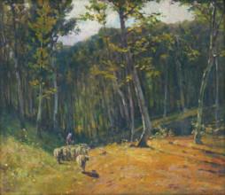 Forest with sheep, 1900-1910.