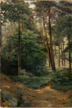 Forest, 1894.