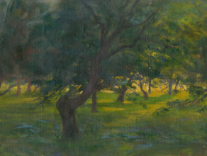 Landscape, around 1910.