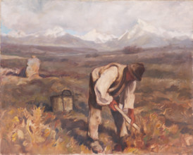Autumn work (digging potatoes), 1934.