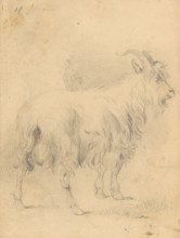 Drawing II., 1850/1857. Additional Info: Drawing album (40 sheets).