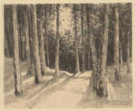 Forest, 1901-1937.