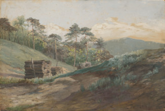 A forest valley with pine trees, around 1894-1895.