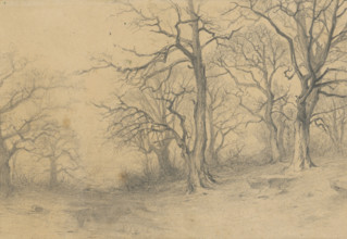 Study of trees, 1897.