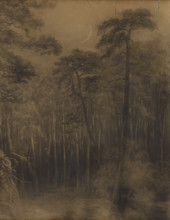 Pine forest, 1892-1893.