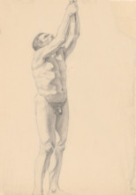 Male nude, 1880-1904.