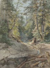 Inside the forest, 1842.