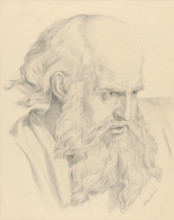 Old man's head, 1879.