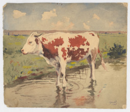 Cow, 1904.