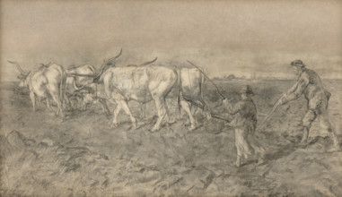 Ox team, 1875-1877.