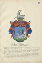 Coat of arms of the Kubinyi family, 1904.   Additional Info: Adolf Medzihradsky's manuscript album