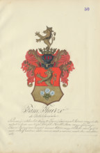 Coat of arms of the Thurz family, 1904-1910.   Additional Info: Adolf Medzihradsky's manuscript