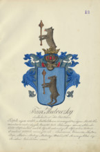 Coat of arms of the Medvecka family, 1904-1910.   Additional Info: Adolf Medzihradsky's manuscript
