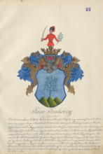 Coat of arms of the Trnkoczy family, 1904-1910.   Additional Info: Adolf Medzihradsky's manuscript