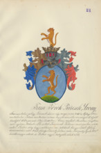 Coat of arms of the Torok-Turcsek family, 1904-1910.   Additional Info: Adolf Medzihradsky's