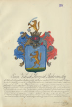 Coat of arms of the Vilcek, Monak, Bukovinska families, 1904.   Additional Info: Adolf