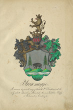 Coat of arms of Orava counties, 1904-1910.   Additional Info: Adolf Medzihradsky's manuscript album