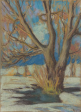 Study of a Bare Tree in Winter, 1934.