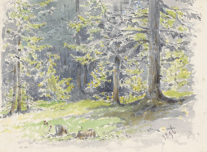 Summer landscape, 1896.
