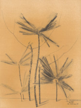 Palm trees, 1938.