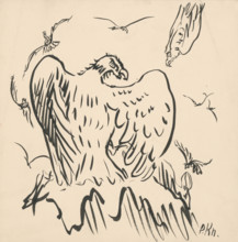 Sketch of eagles, 1940-1944.