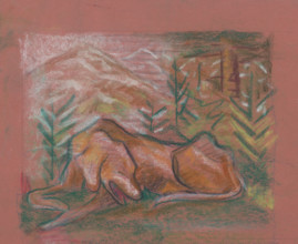 Dog in the forest, around 1937.