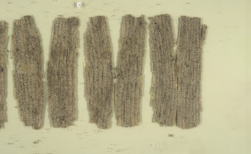 Fragmentary Buddhist text, c5th-3rd century BC. Creator: Unknown.